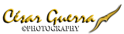 César Guerra Photography Home page